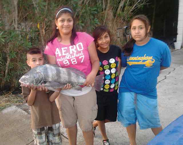 Justin 28&quot; first black drum