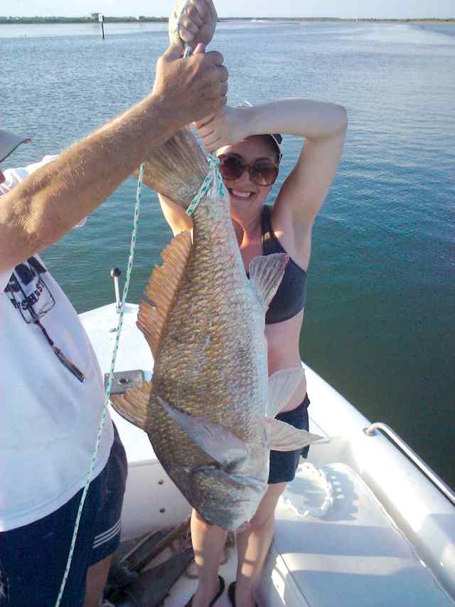 Jamie Koch Chris's Cut40&quot; black drum