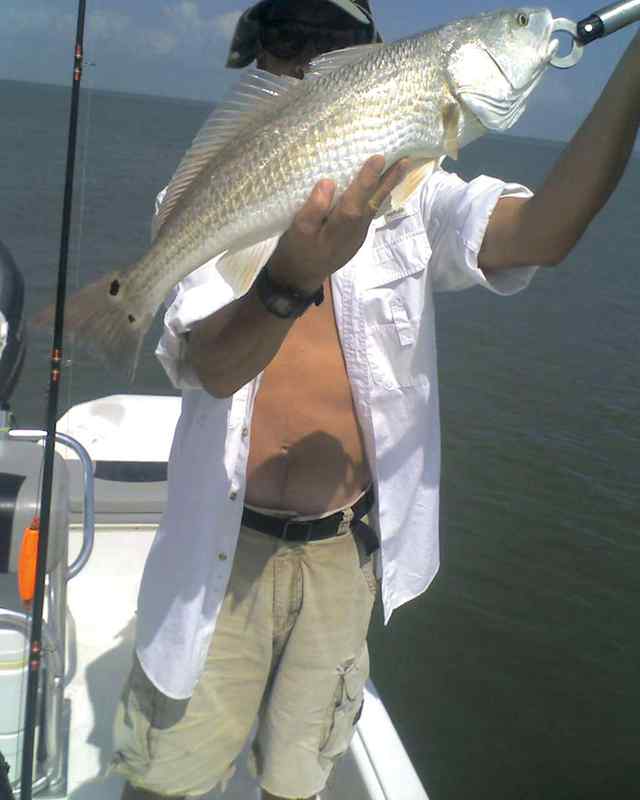 Tommy Robertson South Pass26&quot; red CPR