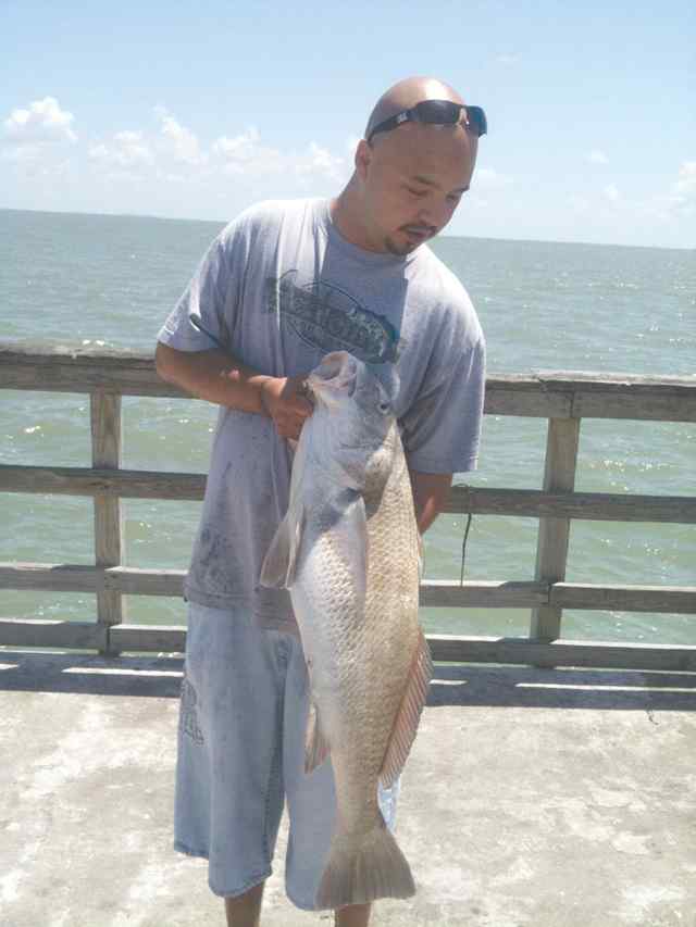 Adam Corpus Christi32&quot; black drum