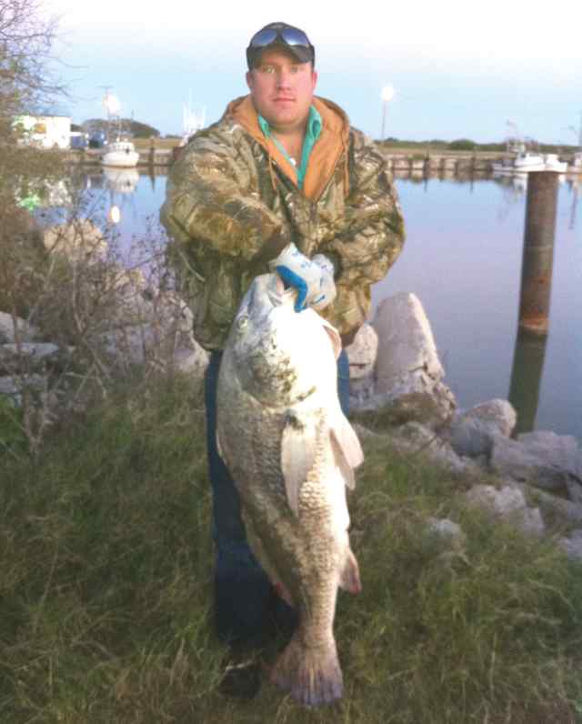 Justin Bates Seadrift50&quot; black drum