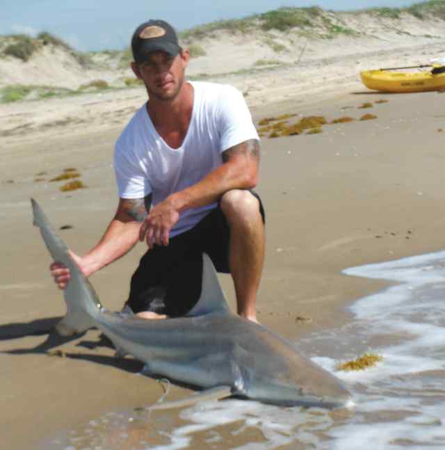 Ryan Henn South Padreblacktip shark, tagged &amp; released