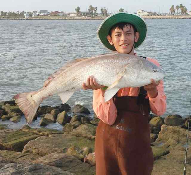 Granger Nguyen Quintana45&quot; bull red