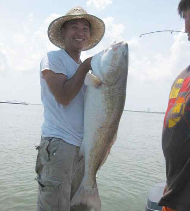 Timmy Nguyen Galveston42&quot; bull red