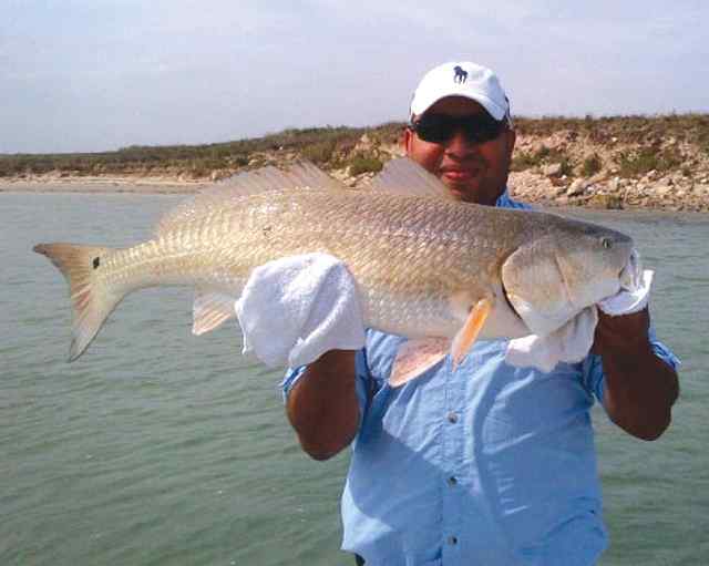 Alex Salinas Port Mansfield36&quot; redfish