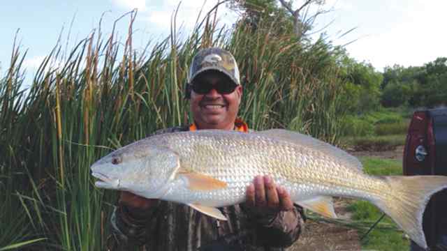 Ivan Flecha Brauning Lake29.25&quot; redfish