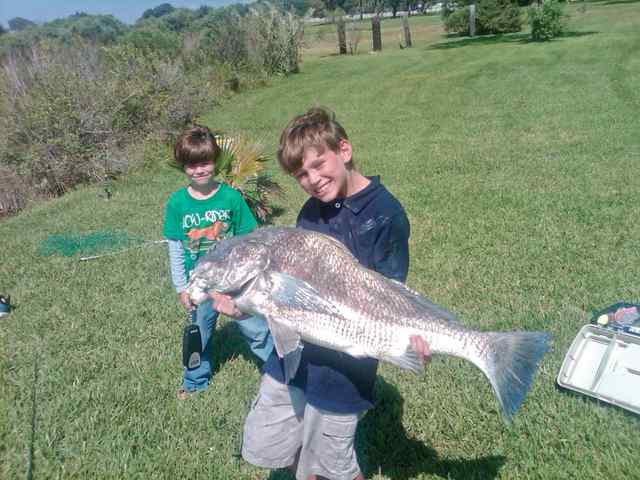 Gage Fowlkes & William Carl Dickinson Bayoublack drum CPR