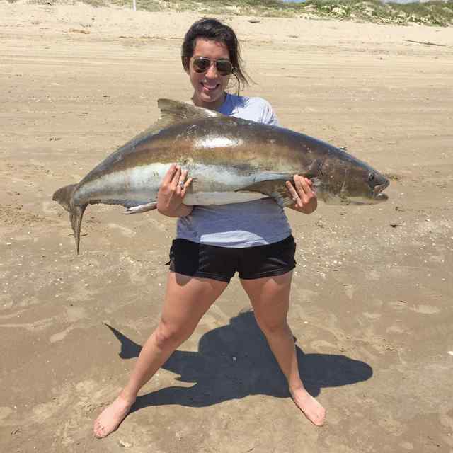 Dolores Benavides 5' 4&quot; cobia, caught while fishing the second gut washout, with a six inch finger mullet, using a Penn Battle 8000, with 50 pound braid