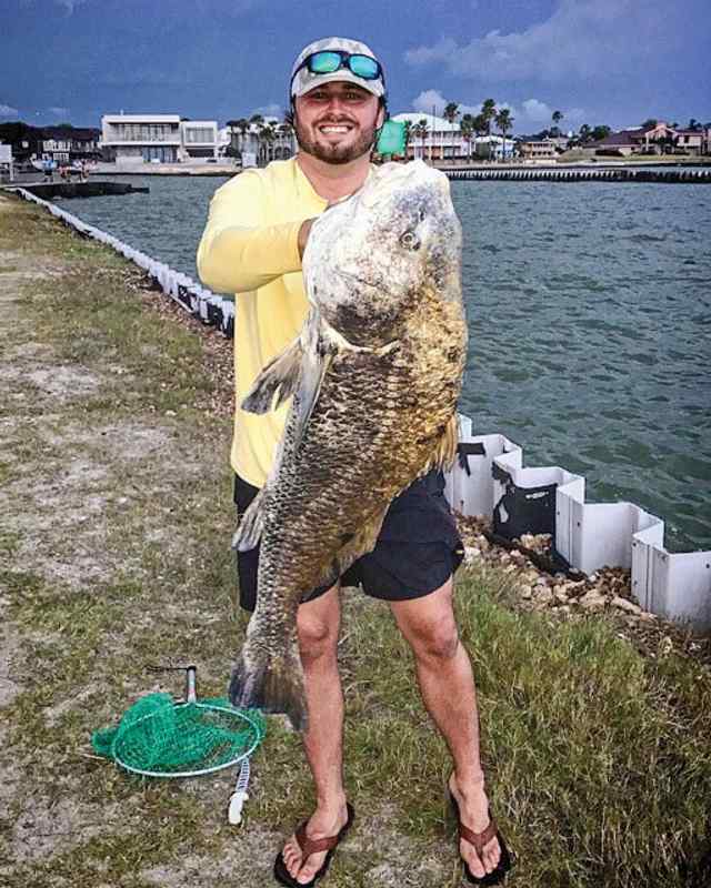 Reid Boeselt Rockport - 50 lb red drum, caught on a chartreuse gulp swim bait