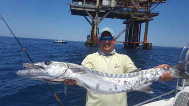 Eli Esquivel Packerybarracuda