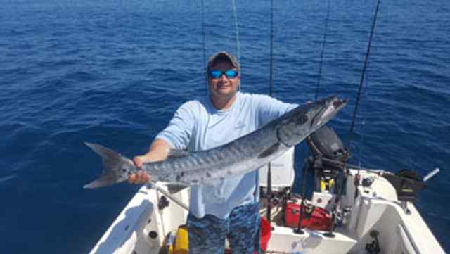 Joe Lopez Packerybarracuda