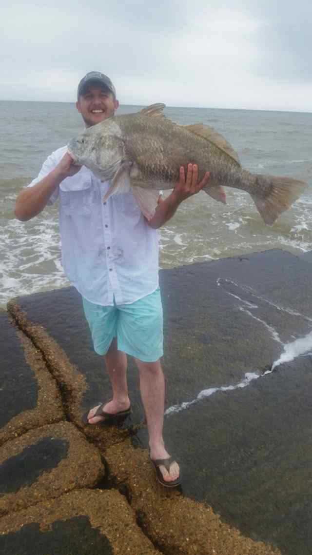 Ryan Vaughan Port Aransas, north jettyblack drum