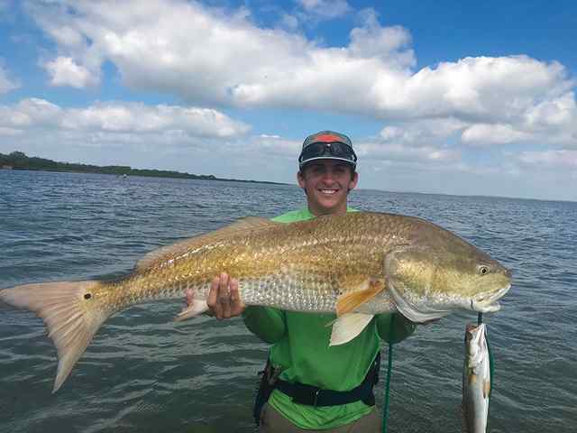 Logan Hanse Baffin Bay - 48" redfish CPR, caught on a croaker