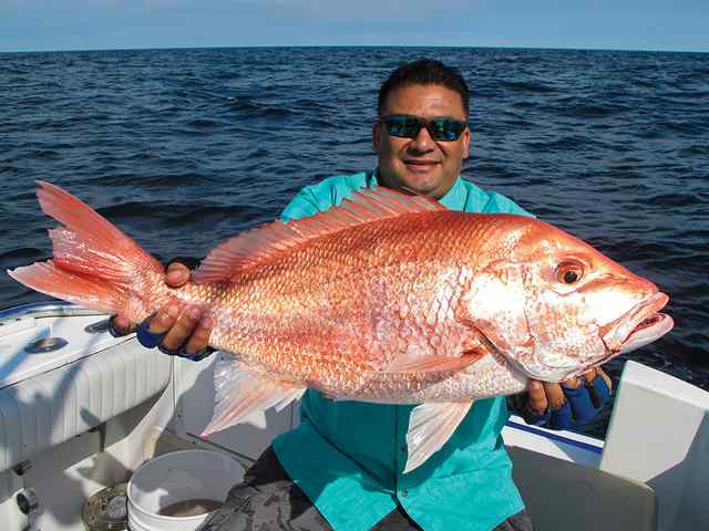 Havier Maldonado red snapper, caught on live bait 125' deep