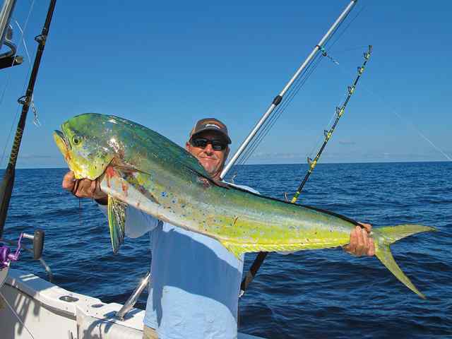 Richard Ridgeway dorado, caught on black bart lure