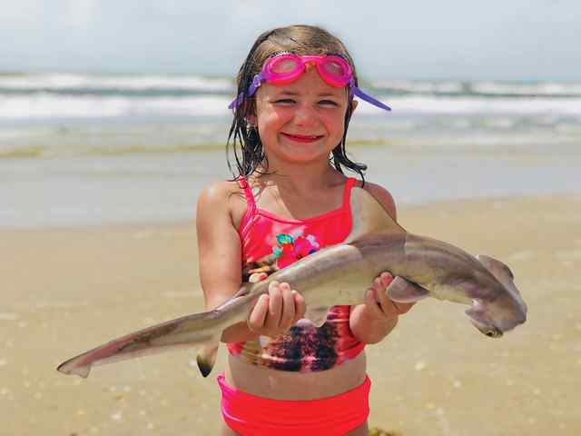 Analeigh Turner Crystal Beach - smooth hammerhead, caught in the surf