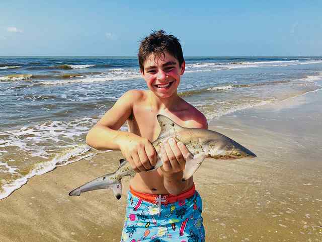 Blayson Vallejos Crystal Beach - shark, caught in the surf