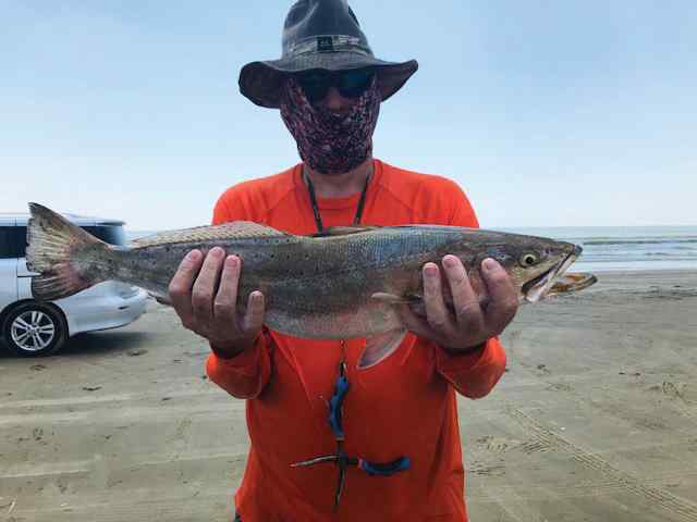 Bobby Parker West Galveston Beach - 30" trout