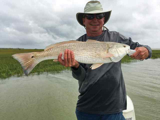 Matt Posey St. Charles Bay - 27.75" redfish