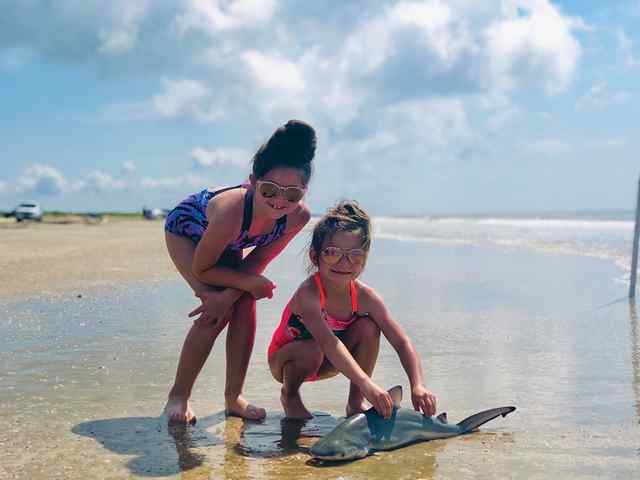 Analeigh & Emma Turner bull shark