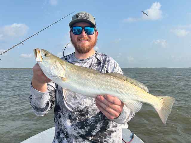 Tanner Moore Upper Laguna Madre - 24.5" trout