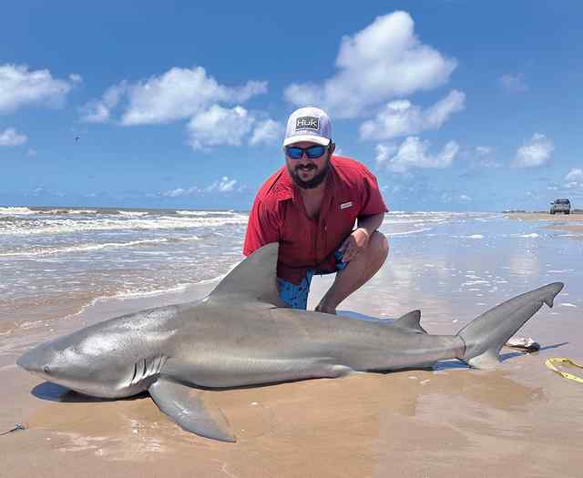 Aaron Conway Sargent Beach - 77" bull shark