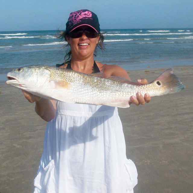 Kim Sweat Padre Island National Seashore25&quot; redfish