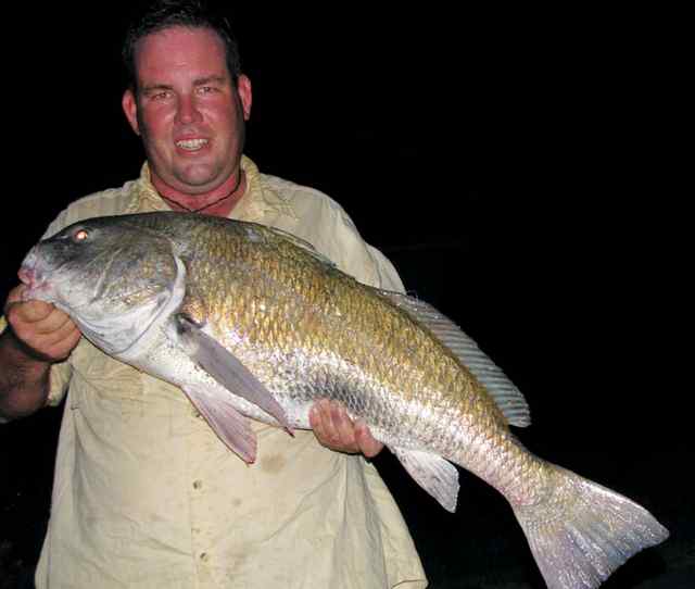 Andrew Tatton Ayers Dugout37.5&quot; black drum