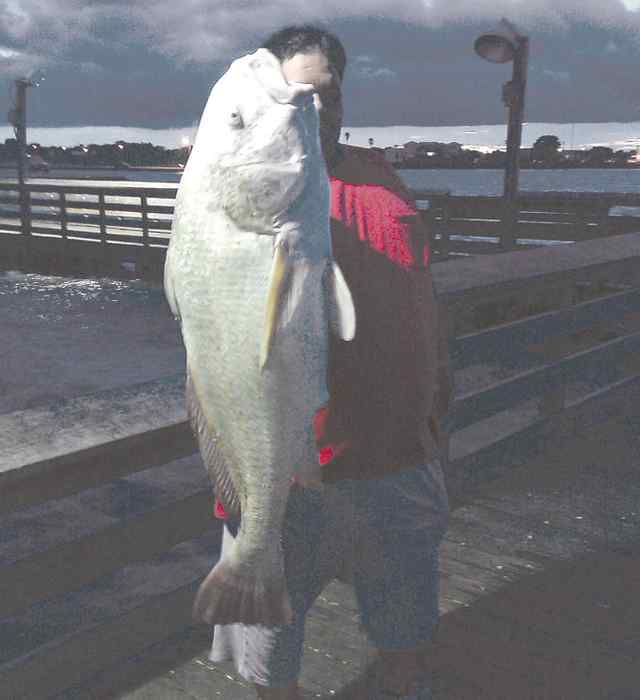 Big Joe Port Lavaca44&quot; black drum