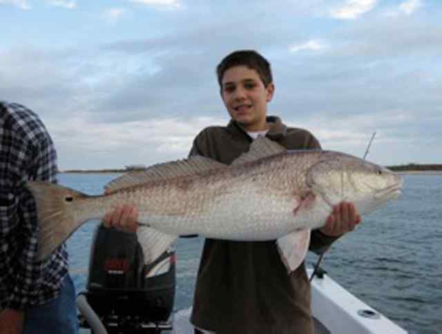 Sam Giammalva Port O'Connor42&quot; bull red