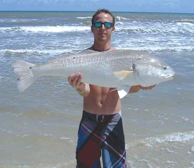 Garrett Melton Matagorda44&quot; bull red