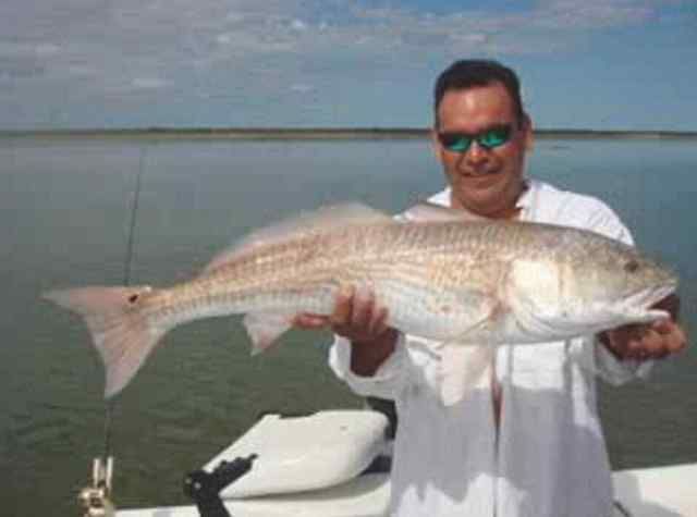 Ben Mendoza Landcut37&quot; redfish