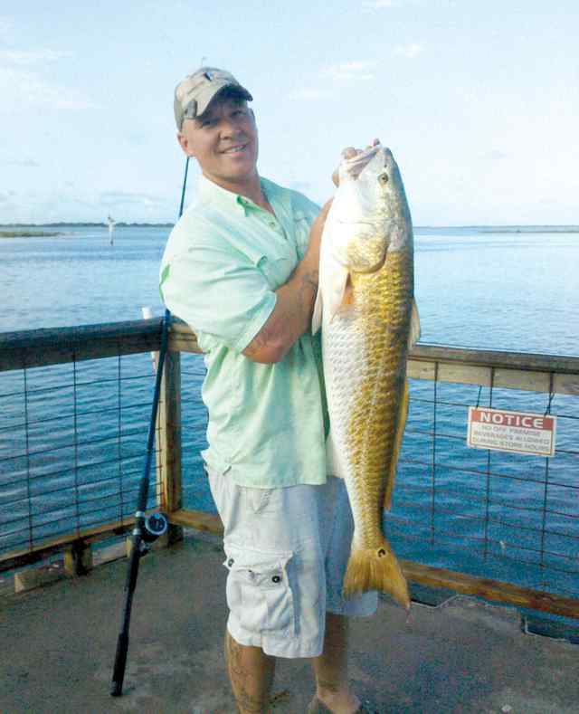 Dagan Turner 42&quot; bull red