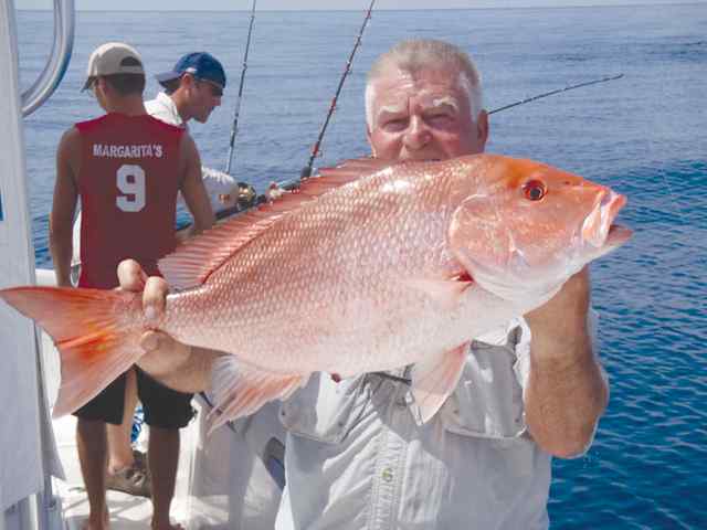 Roland Vogel Freeportred snapper