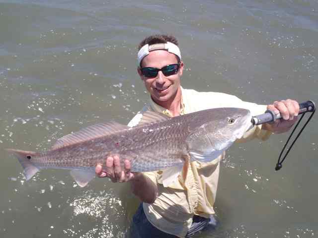 Shaun Vogel Laguna Madre31&quot; redfish