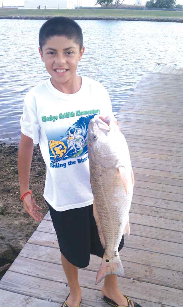 David Camacho, Jr Freeport30&quot; bull red