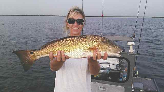 Kathy Mattaliano Sabine Lake27&quot; redfish