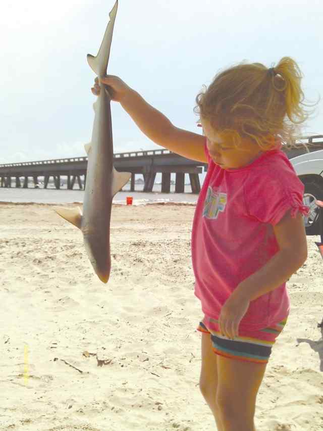 Ava Rask Freeport Beachblack tip shark