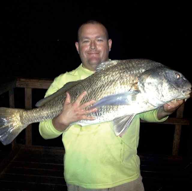 Daniel Engler Rockport45&quot; black drum