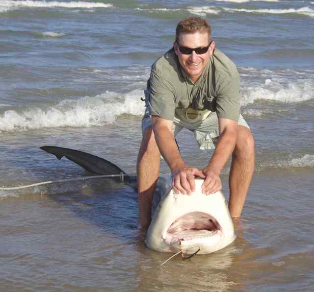 Jeff Hobbs PINS8'6&quot; bull shark