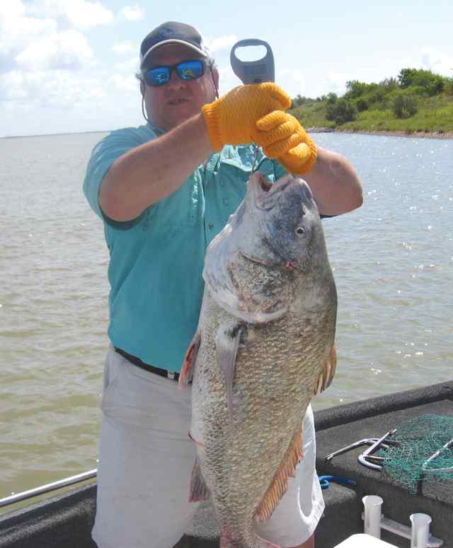 Don Lancello 40 lb black drum CPR