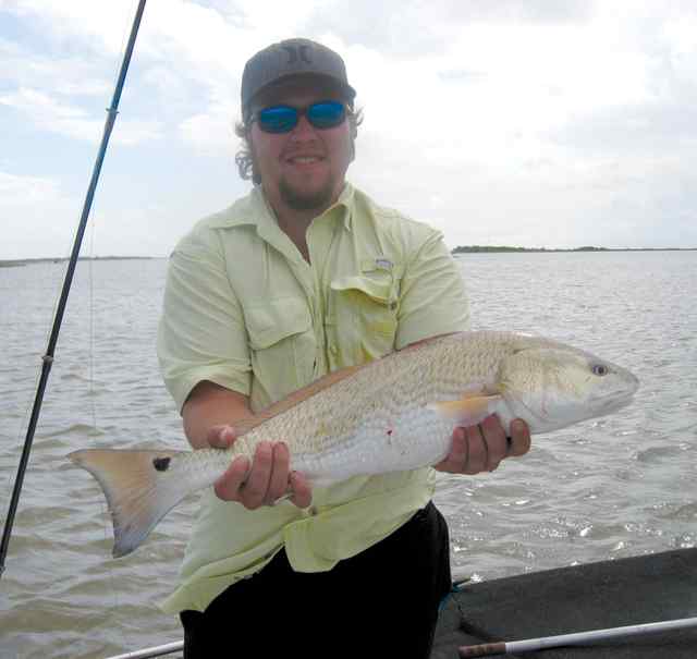 Steven Lancello 24&quot; 5lb redfish