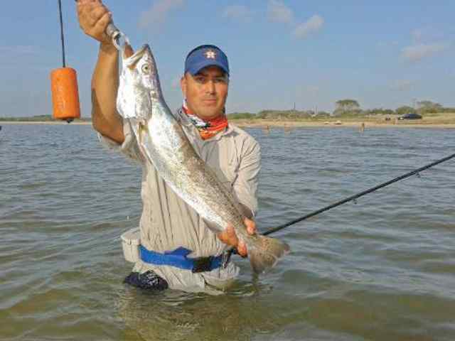 Adrian Garcia Baffin Baytrophy troutCaught off Black and Chrome She-dog top water lures about 100 yards from Riviera Kaufer Pier while wade fishing in the early morning hours.