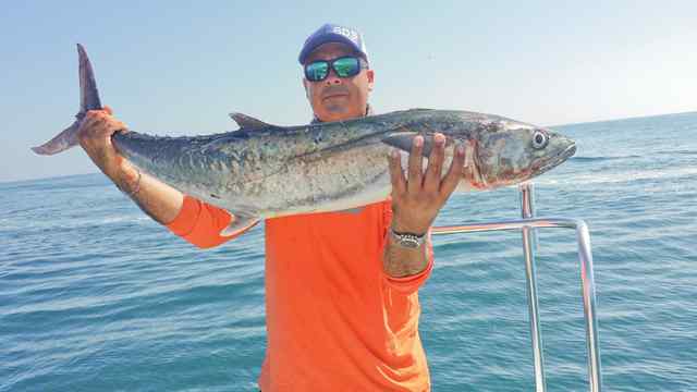 Hector G. Port Mansfieldkingfish