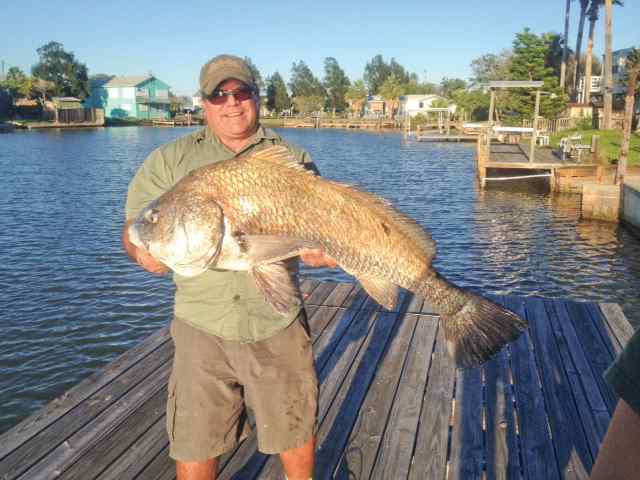 Santiago Vela back yard canal near Copano Bayblack drum