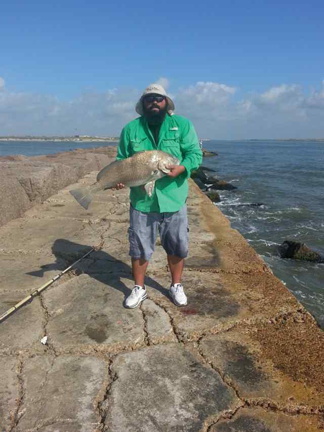 Rudy Gomez Port Aransas jetty33&quot; black drum CPR