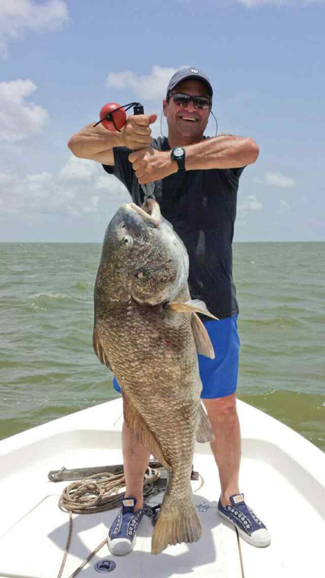 Ron McDougal Aransas Bay48&quot; 65 lb black drumTook 1 hour to land and was caught with a 3&quot; new penny gulp.