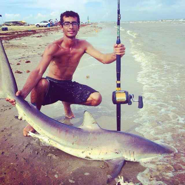 Emil Nasrawi Galvestonshark