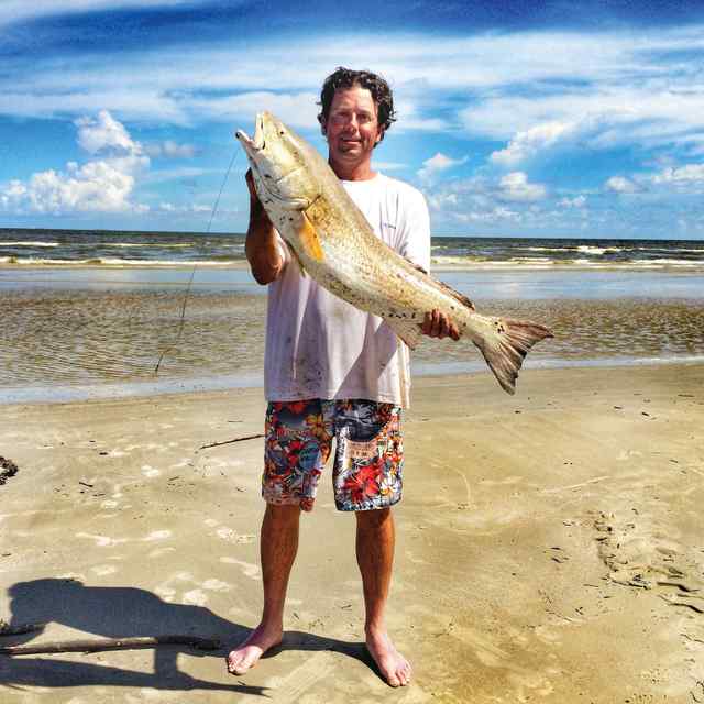 Joel Taylor Surfside beach36&quot; bull red