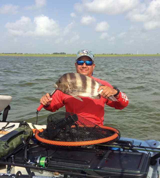 Gilbert Torres Texas City Dike20&quot; sheepshead